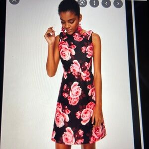 NWT Kate Spade “Rosa” A-Line Dress, 0